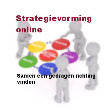 Strategievorming online